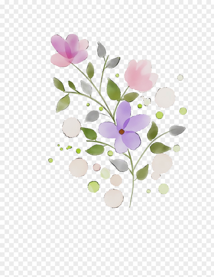 Flower Petal Plant Violet Branch PNG