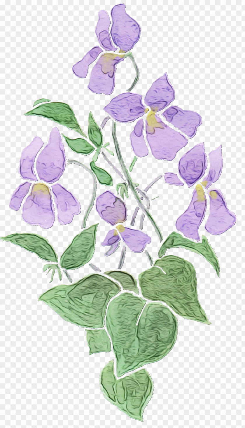 Periwinkle Petal Flower Violet Purple Plant Flowering PNG