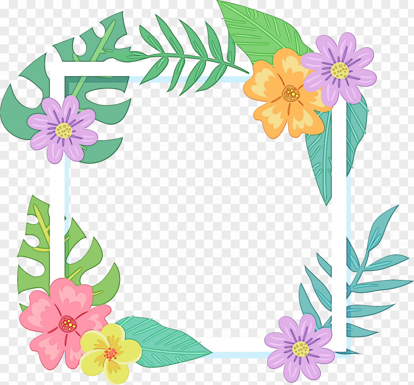 Plant Wildflower Flowers Background PNG