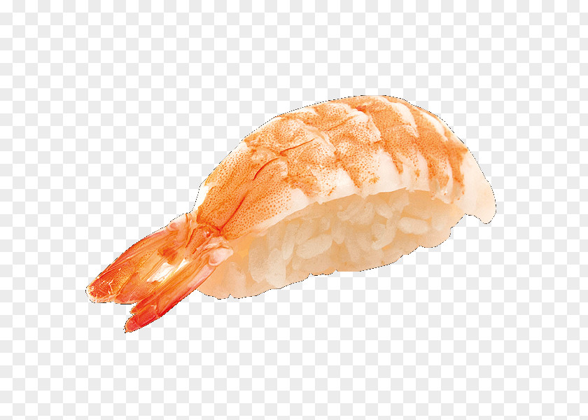 Sushi Caridea Sashimi Onigiri Tempura PNG