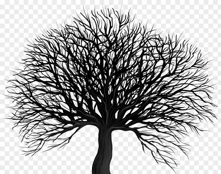 Tree Vector Graphics Clip Art Stock Photography PNG