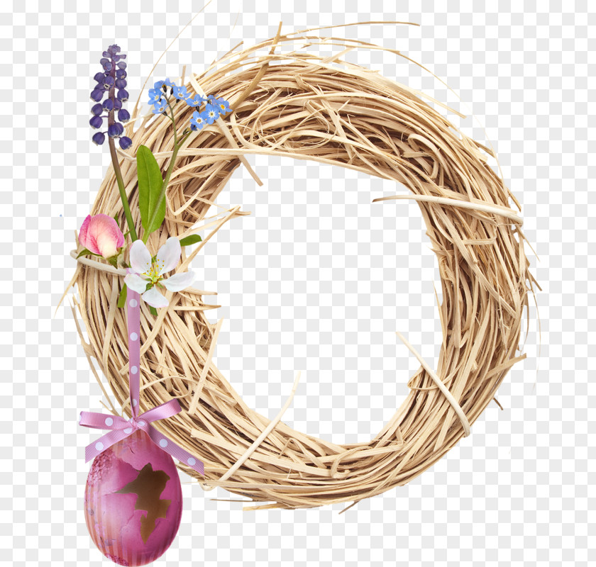 Bird Nest Feather Peafowl PNG