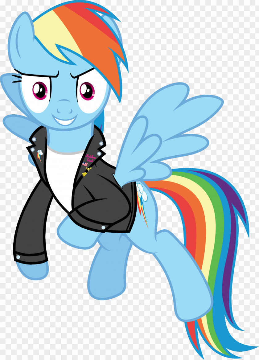 Dash Rainbow Twilight Sparkle Pony PNG