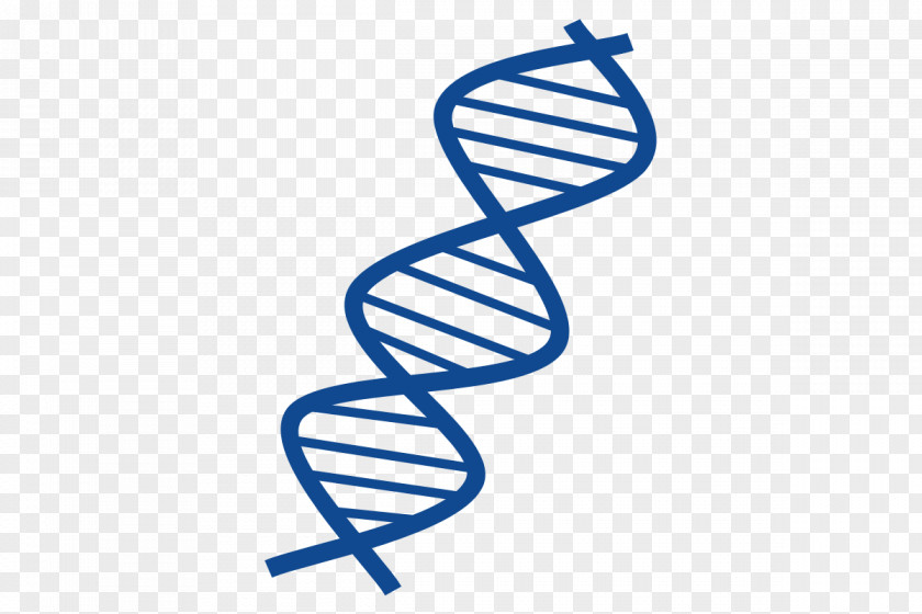Helix Streamer Shareware Treasure Chest: Clip Art Collection DNA Nucleic Acid Double PNG