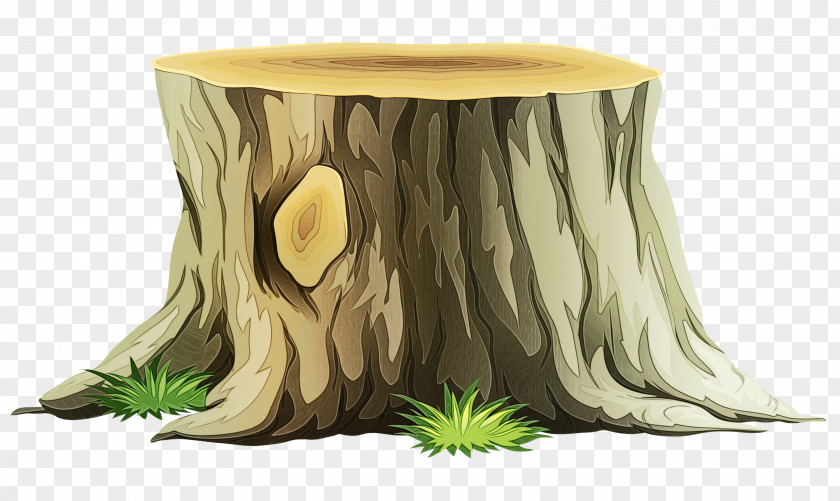 Wood Plant Watercolor Tree PNG