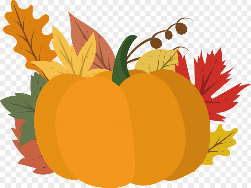 Autumn Pumpkin Calabaza Jack-o-lantern Clip Art PNG