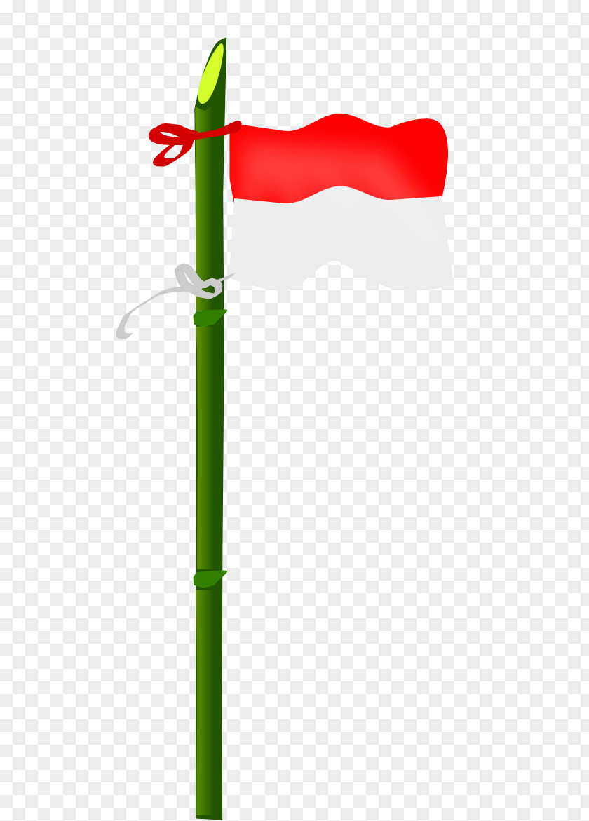 Bamboo Border Flag Of Indonesia Clip Art PNG