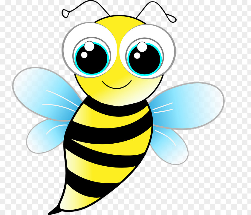 Bee Insect TeachersPayTeachers Clip Art PNG