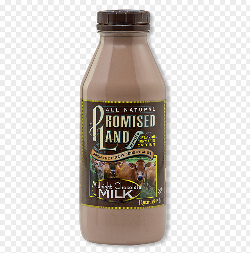 CHOCO MILK Chocolate Milk Malted Cream Dairy Products PNG