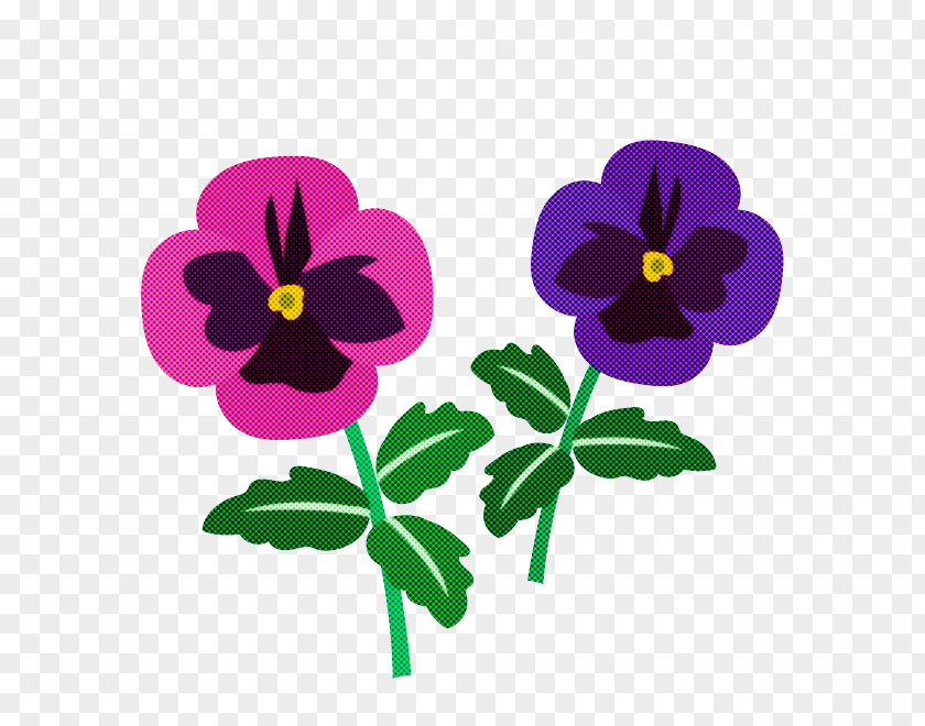 Flower Violet Wild Pansy Purple Plant PNG