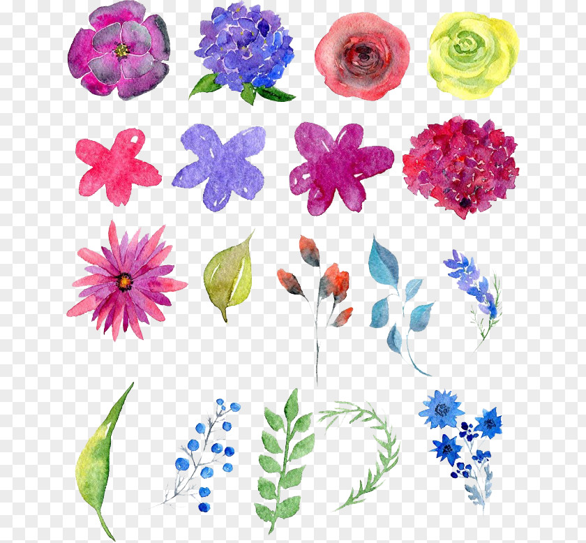 Watercolor Flowers Floral Design Painting Drawing PNG