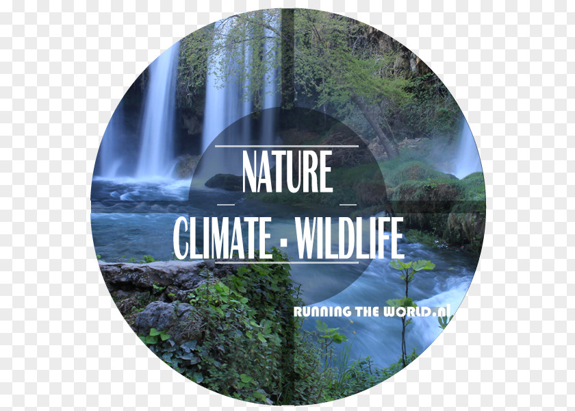 Wild Nature Running Training Life Sneakers Biodiversity PNG