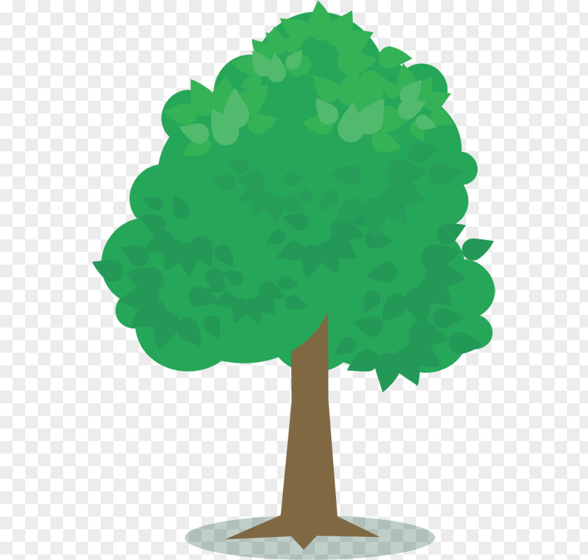 Banyan Vector Tree Planting Oak Clip Art PNG