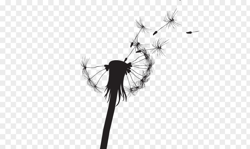 Dandelion Silhouette Vector Common Light Drawing PNG