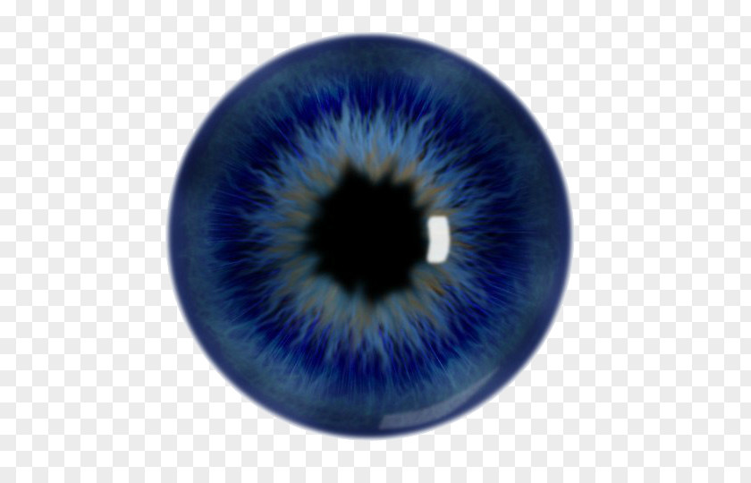 Eye Iris Pupil Human Blue PNG