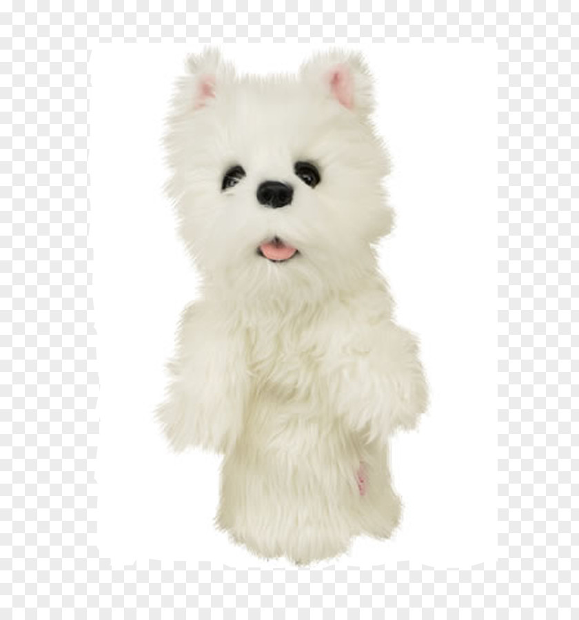 Golf West Highland White Terrier Jack Russell Clubs Wood PNG