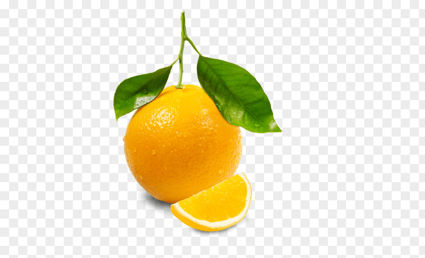 Orange Image Download Juicer Lemon PNG