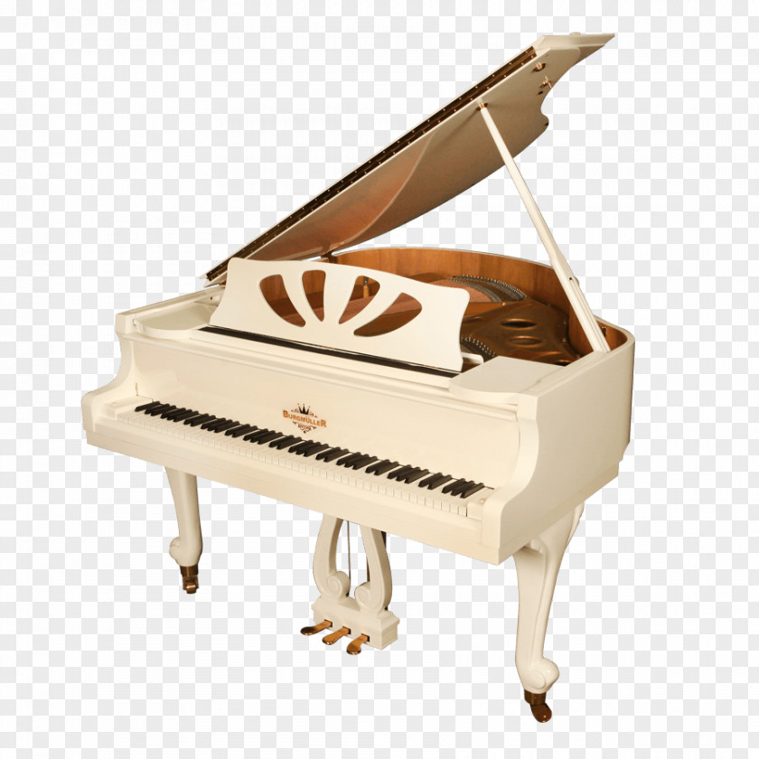 Piano Fortepiano Burgmüller -- 25 Progressive Pieces, Op. 100 Player Spinet PNG