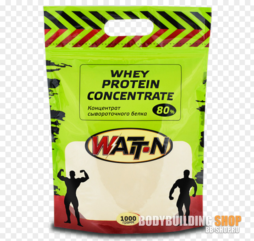 Protein Concentrate Branched-chain Amino Acid Printing Flyer Internet PNG