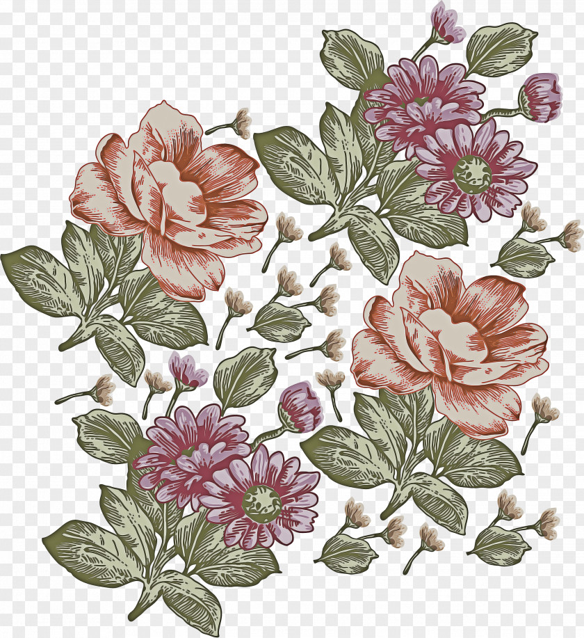 Rosa Dumalis Gallica Floral Flower Background PNG
