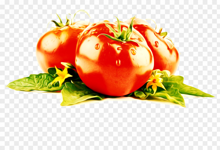 Tomato Cherry Lycopene Vegetable Extract PNG