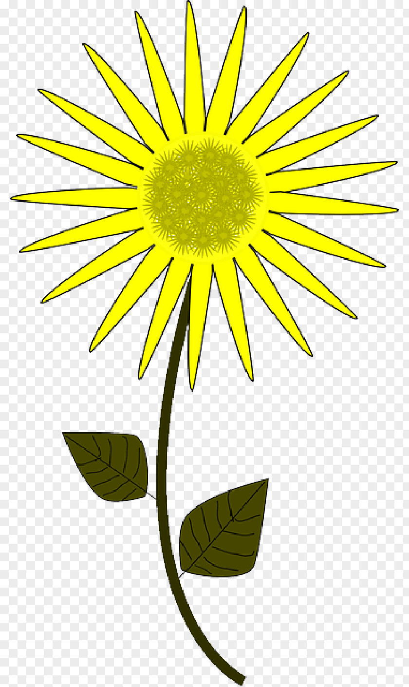 Vector Graphics Drawing Clip Art Cartoon Sunflower PNG