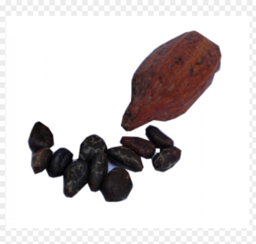 Cacao Bean Cocoa Commodity Theobroma PNG