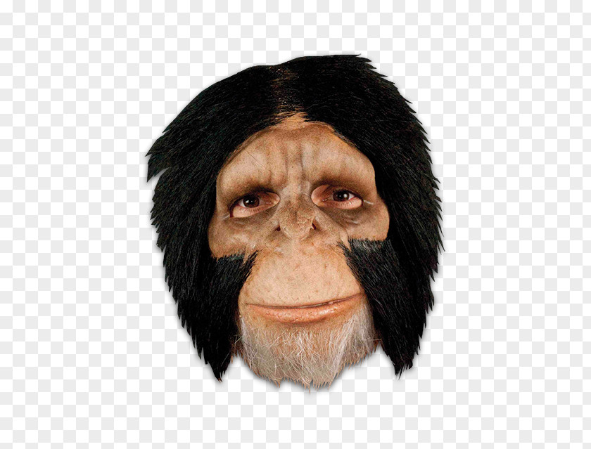 Chimp Latex Mask Common Chimpanzee Party City Halloween PNG