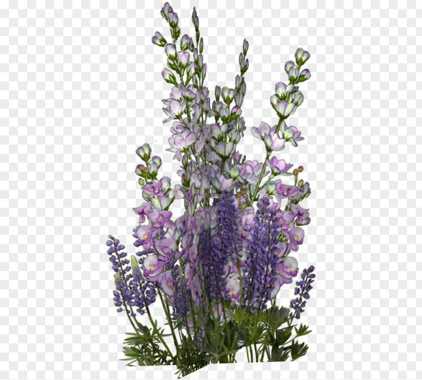 Flower English Lavender Floral Design Clip Art PNG