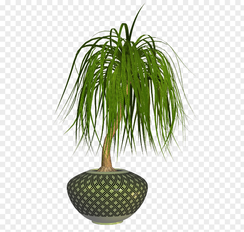 狗 Flowerpot Plant PNG