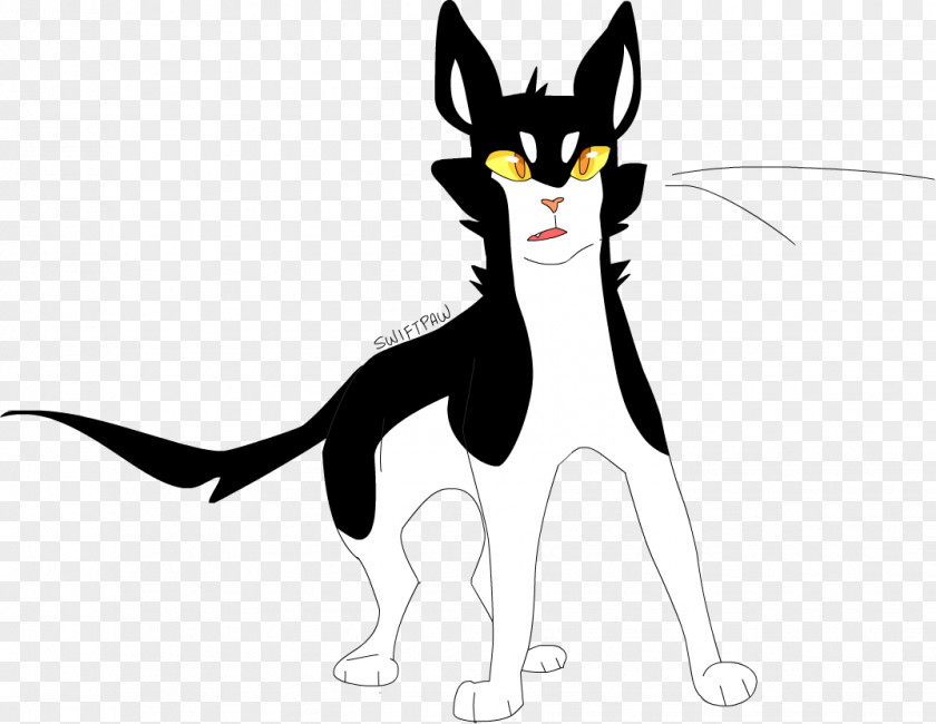 Kitten Whiskers Cat Warriors Swiftpaw PNG