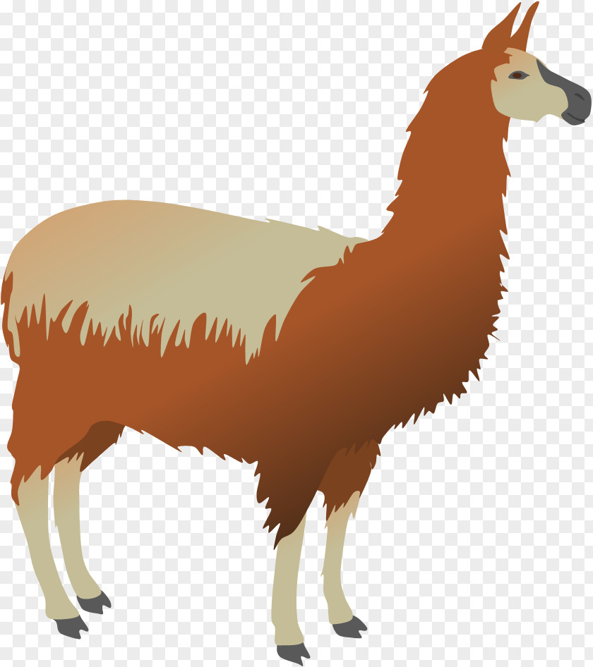 Mug Llama Alpaca Vicuña Pack Animal Clip Art PNG