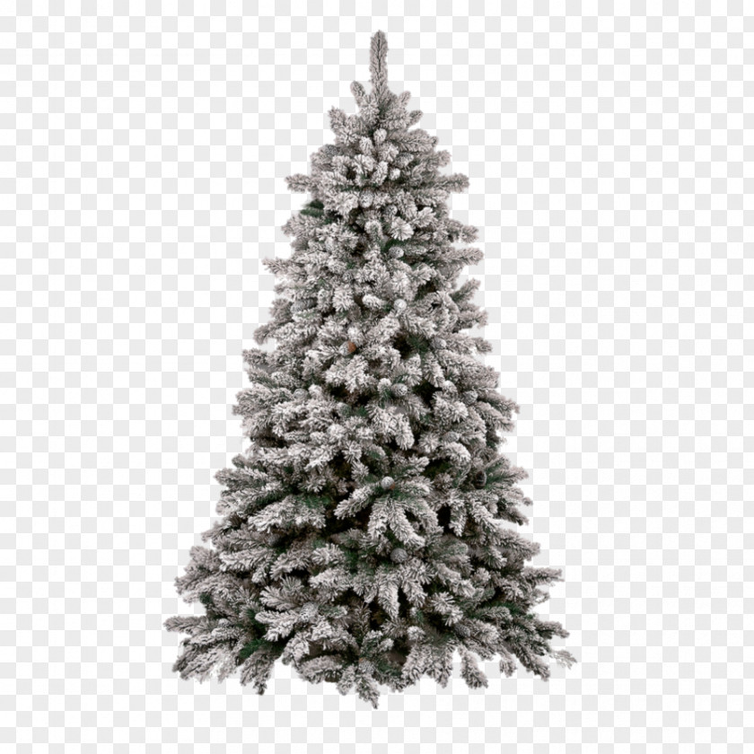 Snow Pine Christmas Tree Clip Art PNG