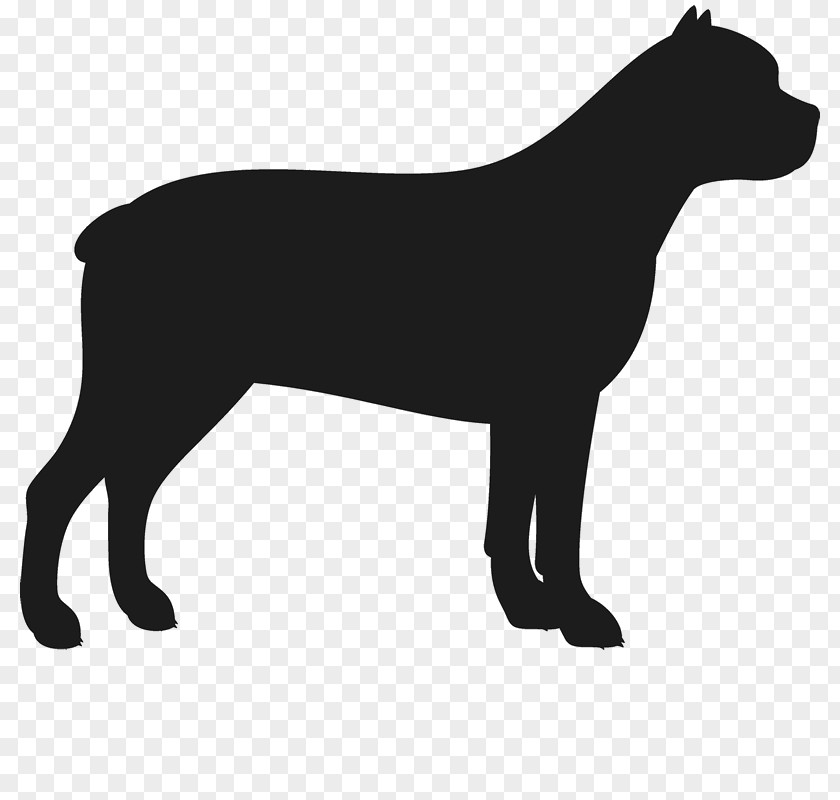 Staffordshire Bull Terrier American Cane Corso Bulldog PNG