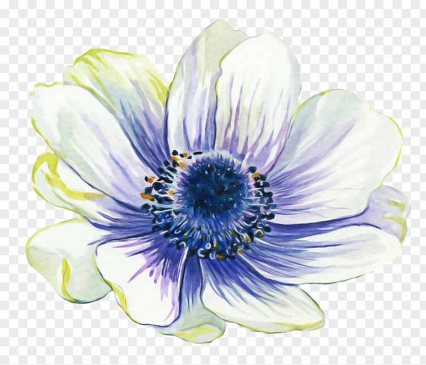 Wildflower Cut Flowers Blue Watercolor PNG