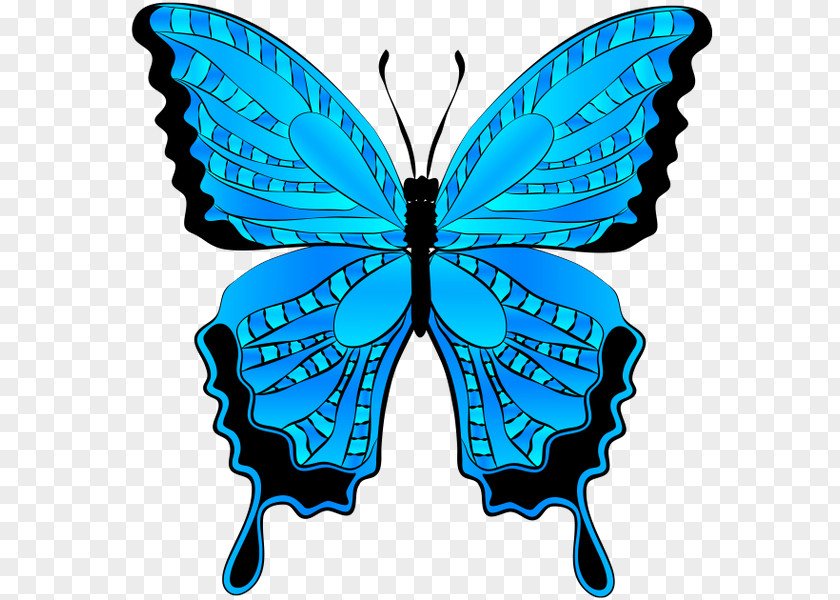 Butterfly Menelaus Blue Morpho Clip Art PNG