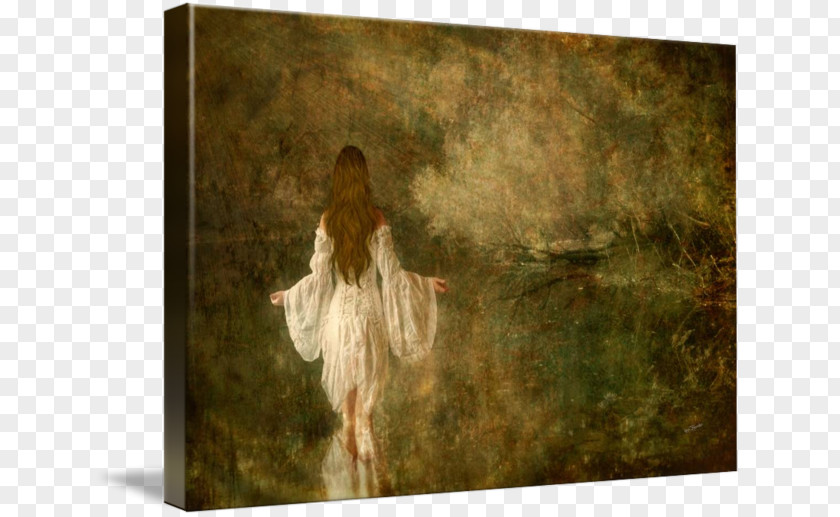 Canvas Wall Painting Picture Frames Stock Photography Fairy PNG