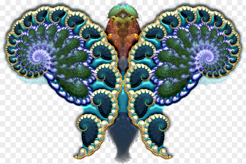 Butterfly Jewelry Symmetry PNG