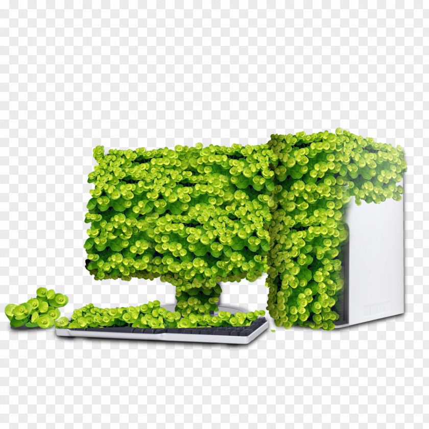 Covered With Leaves Computer File PNG