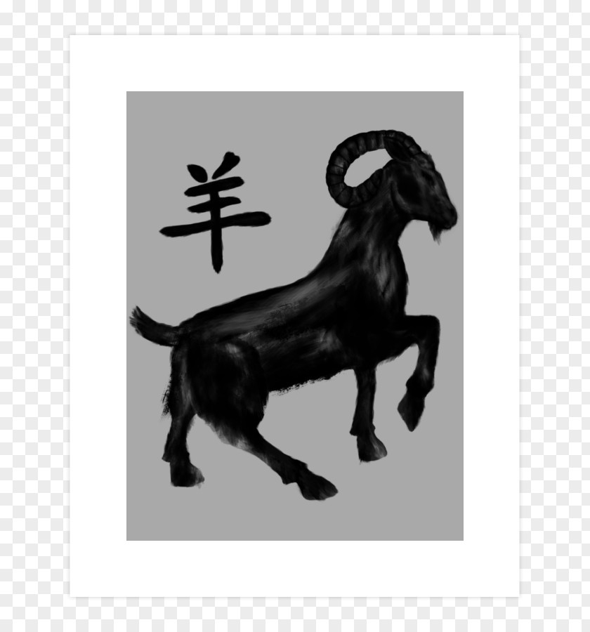 Goat Cattle White PNG