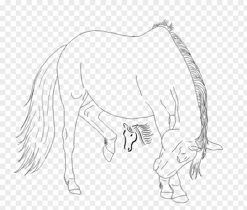 Mustang Mane Pack Animal Drawing Sketch PNG