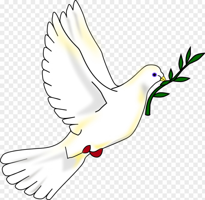 Pigeon Columbidae Bird Peace Symbols Clip Art PNG