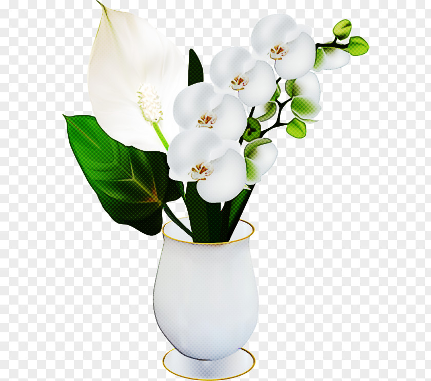 Floral Design PNG