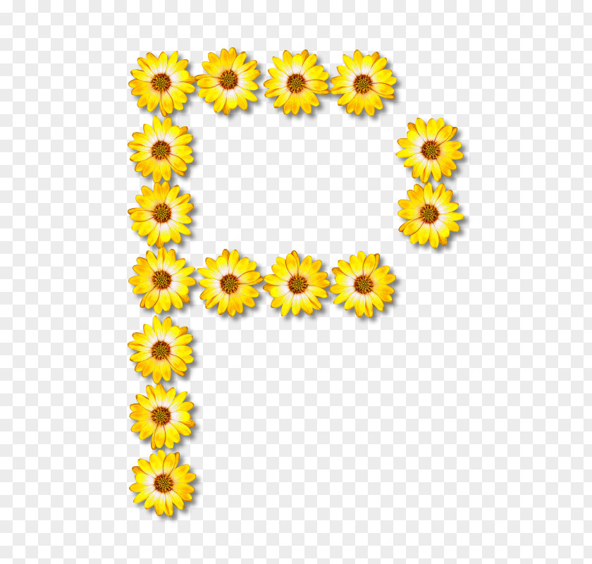 Flower Common Sunflower Floral Design Letter Alphabet PNG