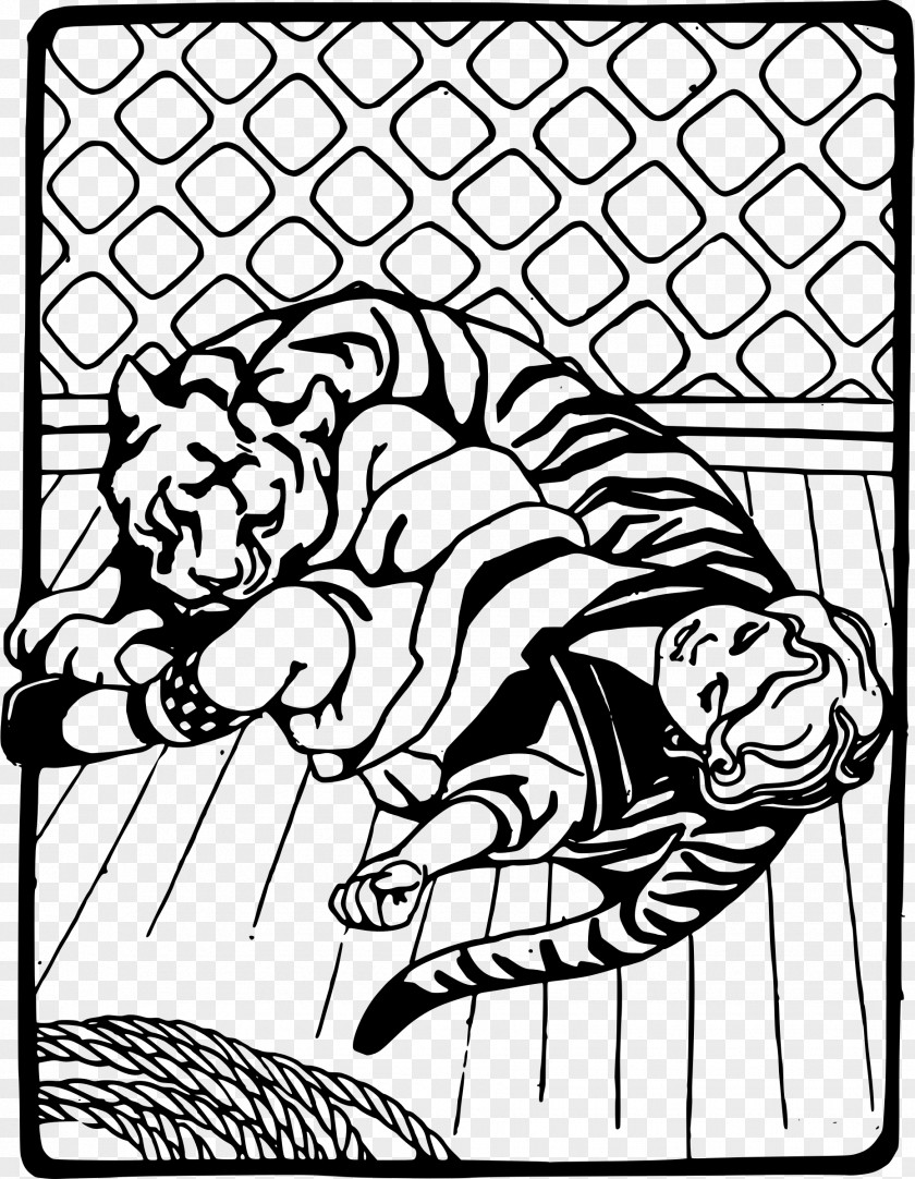 Barber Pole Tiger Drawing Clip Art PNG