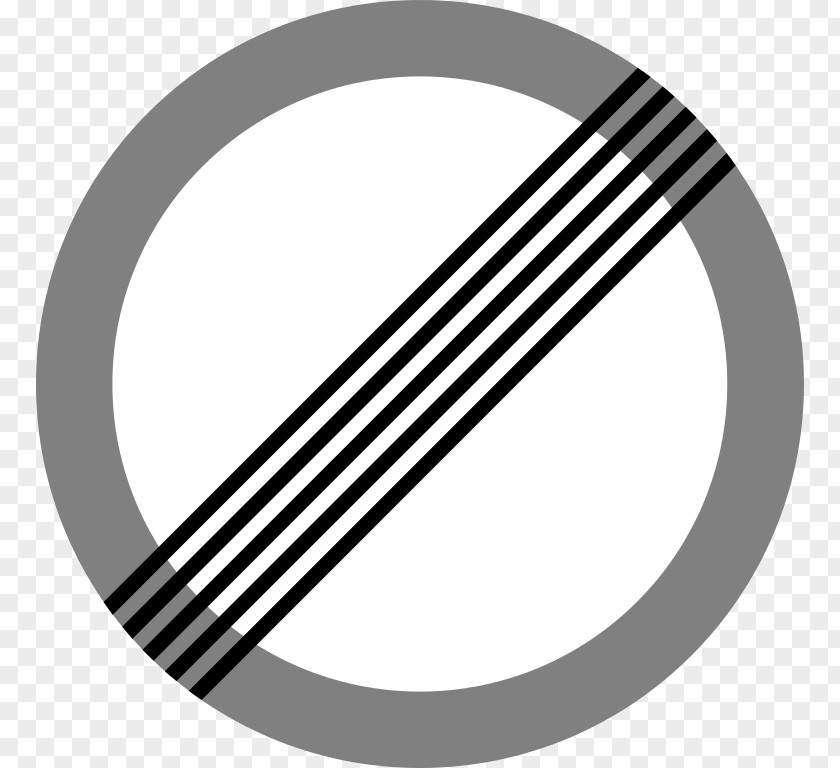Black And White Traffic Light Sign Inspection PNG