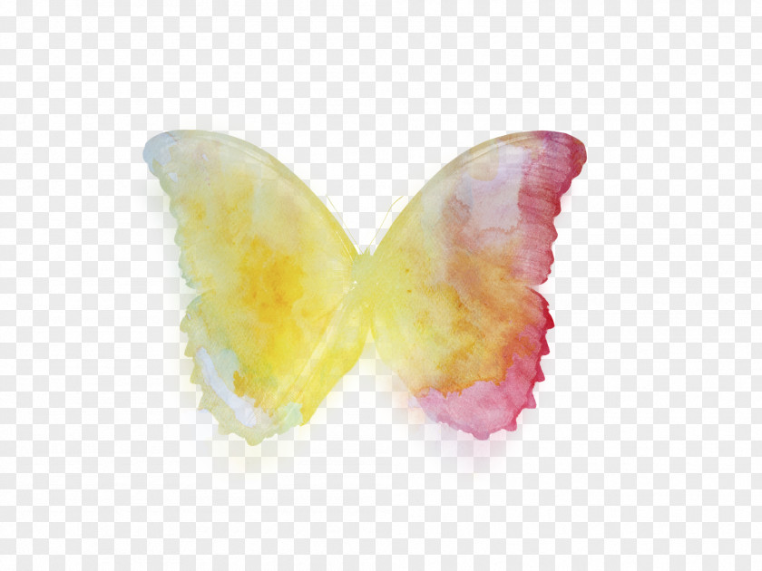 Color Butterfly Silhouette Software PNG