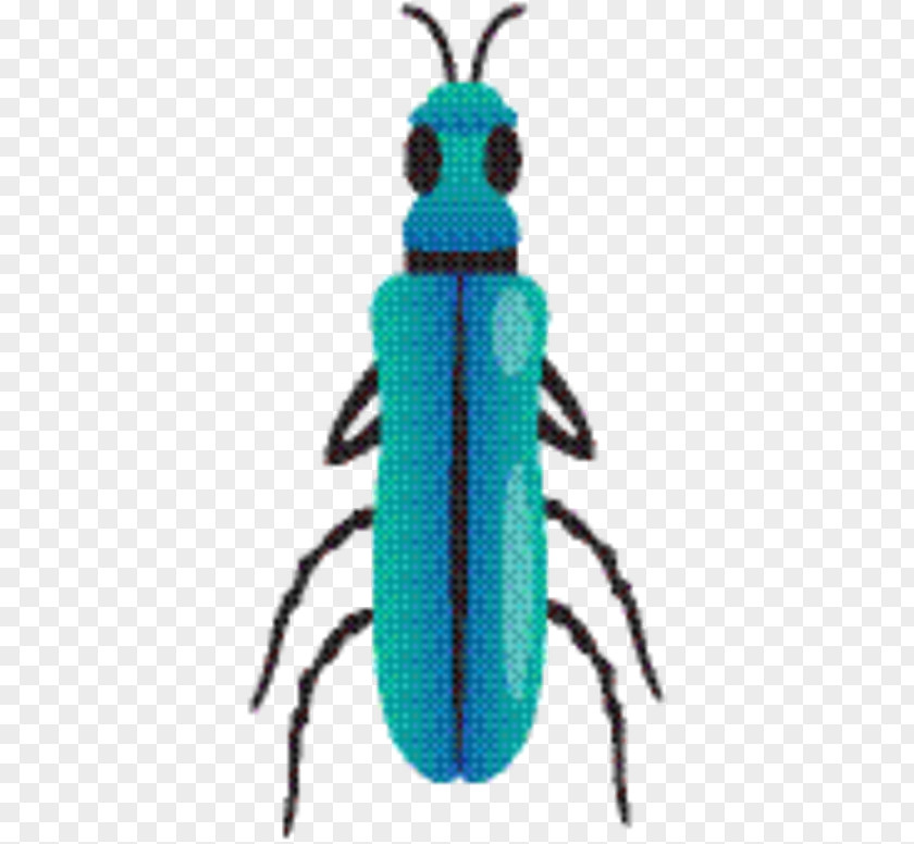 Ground Beetle Jewel Beetles Weevil Pest Membrane Turquoise PNG