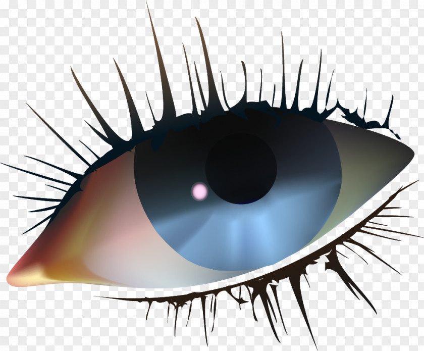 Vector Hand-painted Eyes Iris Eye PNG