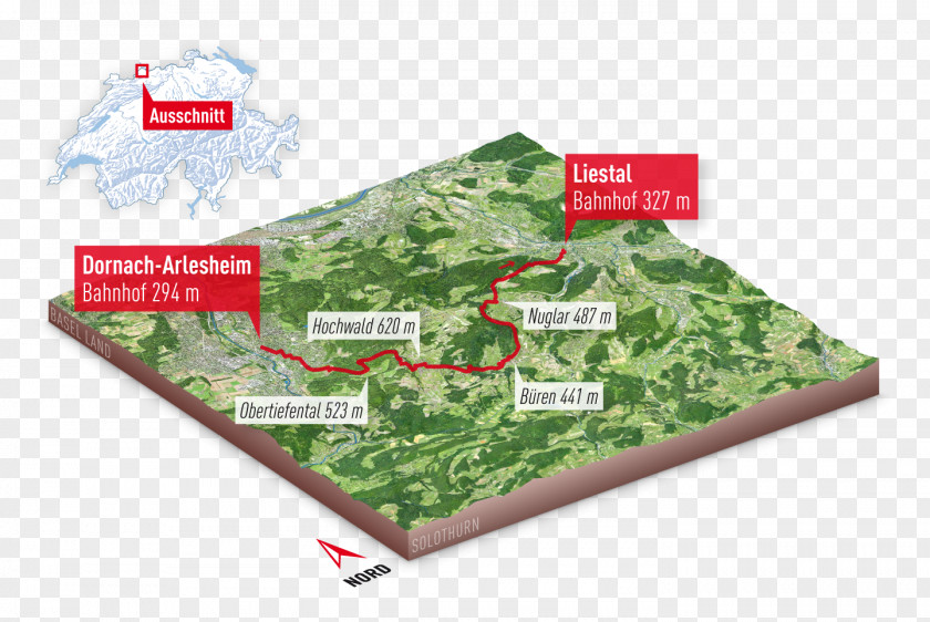 Bernhardiner Dornach Büren, Solothurn Dorneck-Thierstein Liestal Hiking PNG